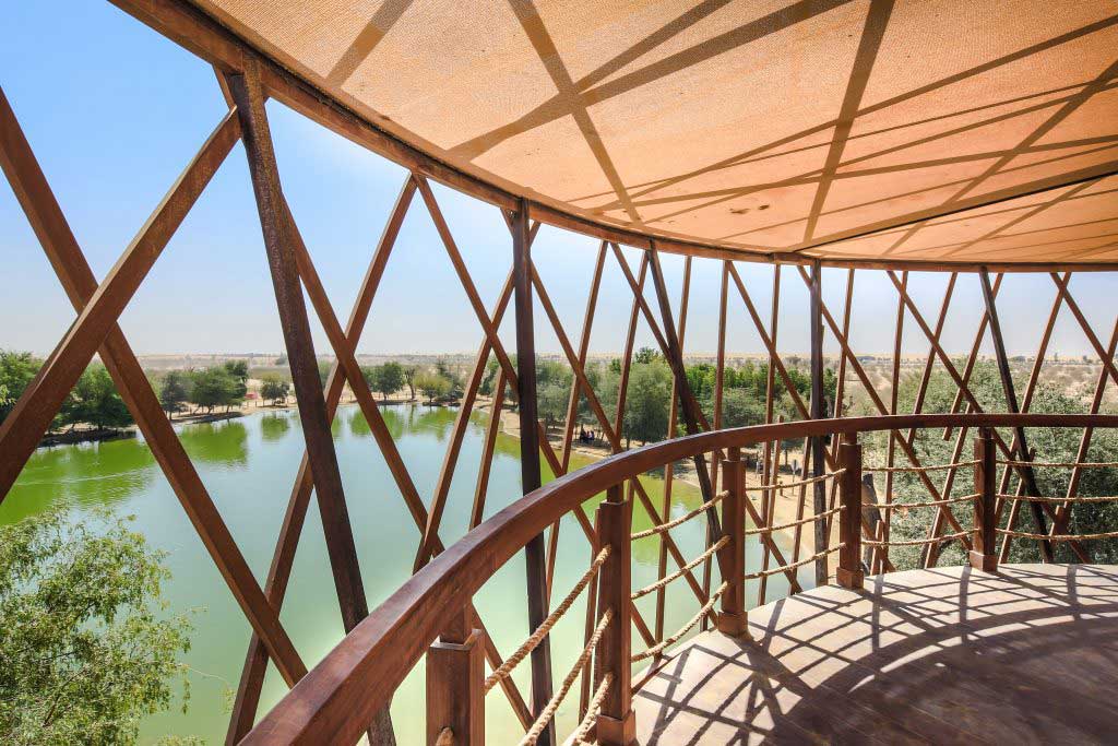 Discover Dubai: Al Marmoom Desert Conservation Reserve